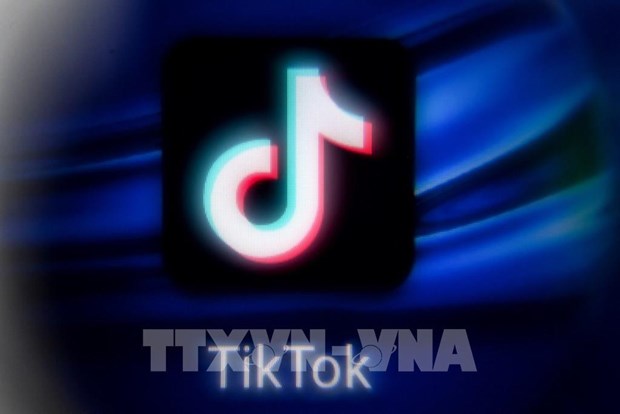 Eliminan 2,4 millones de videos de TikTok de usuarios vietnamitas con contenidos inapropiados hinh anh 1