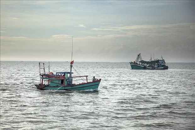 Vietnam dispuesto a cooperar y compartir experiencias en la lucha contra la pesca ilegal hinh anh 1