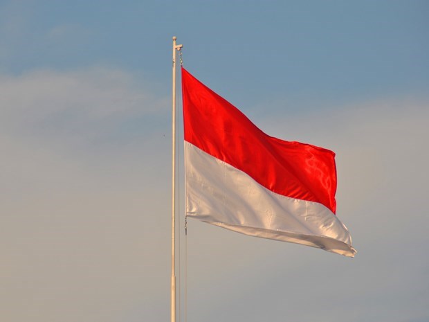 Indonesia promueve cooperacion con Emiratos Arabes Unidos hinh anh 1