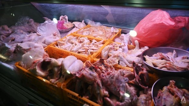 Indonesia pronto exportara pollo a Singapur hinh anh 1