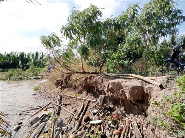 Provincia vietnamita refuerza medidas ante la erosion hinh anh 1