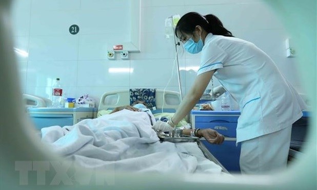 Hanoi registra 19 brotes de dengue hinh anh 1