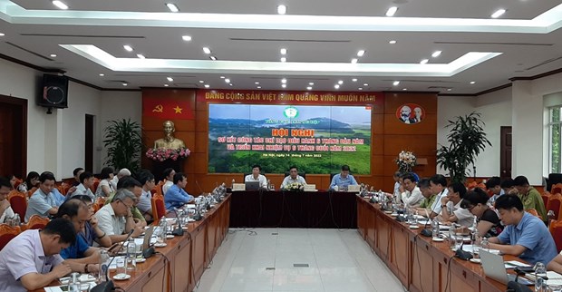Vietnam espera lograr 16,3 mil millones de dolares de exportaciones de productos silvicolas en 2022 hinh anh 1