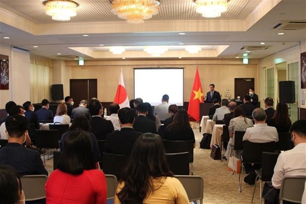 Provincia vietnamita busca atraer mas inversiones japonesas hinh anh 1