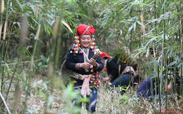 Resaltan identidad cultural de los Yao entre comunidades etnicas de Vietnam hinh anh 1