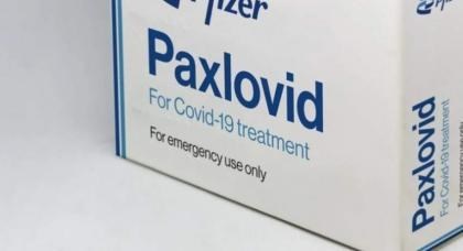 Indonesia aprueba Paxlovid para el tratamiento de COVID-19 hinh anh 1