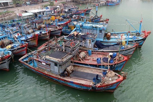 Exigen a China respetar soberania vietnamita sobre archipielago de Hoang Sa hinh anh 1