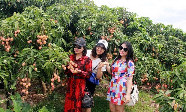 Provincia de Bac Giang busca formas para maximizar el potencial turistico hinh anh 1