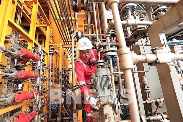 Costos de produccion de empresa petrolera vietnamita disminuiran 12% este ano hinh anh 1