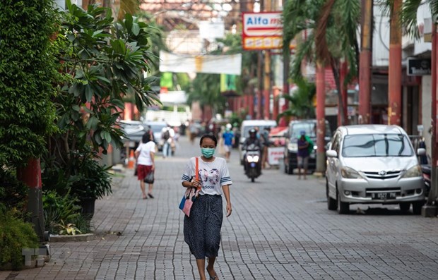 Inversion extranjera de Indonesia registra nuevo record en segundo trimestre de 2022 hinh anh 1