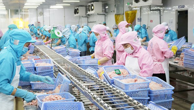 Actualizan normas de mercado chino para ventas de productos agricolas vietnamitas hinh anh 1