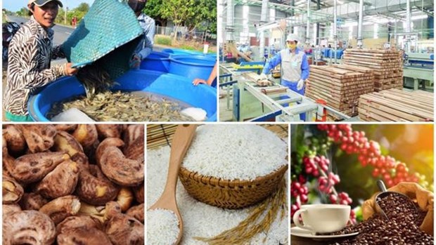 Experimenta Vietnam senales alentadores de exportaciones en siete meses hinh anh 1