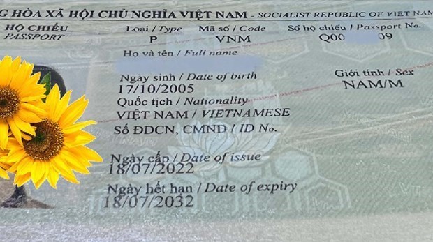 Empenan en favorecer ingreso de vietnamitas con nuevos pasaportes a Alemania hinh anh 1