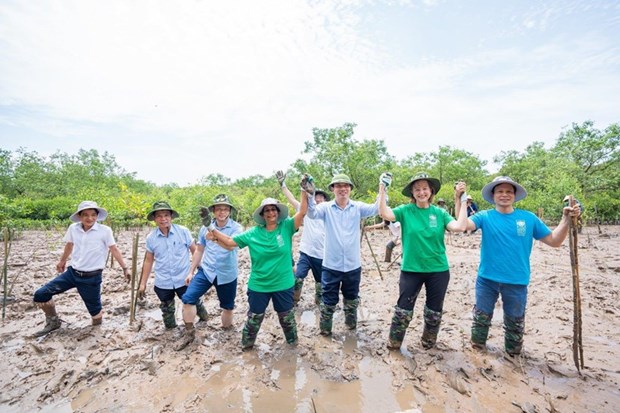 PNUD continua apoyando a provincia vietnamita en respuesta al cambio climatico hinh anh 1