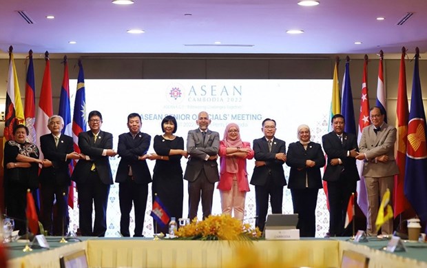 Debaten preparativos para la 55 Reunion de Ministros de Relaciones Exteriores de ASEAN hinh anh 1