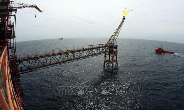 Modifican por completo Ley de Petroleo en Vietnam en la nueva situacion hinh anh 1