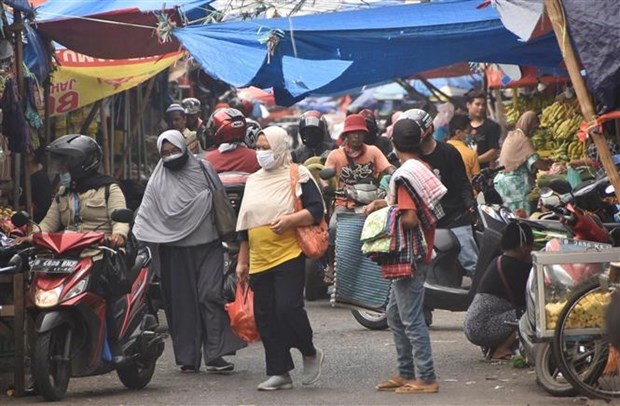 Indonesia por alcanzar crecimiento de mas de cinco por ciento en tercer trimestre hinh anh 1