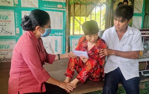 Promueven movilizacion de recursos a favor de victimas del Agente Naranja en Vietnam hinh anh 1