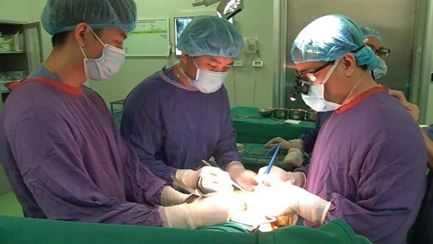 Vietnam realiza casi seis mil 500 trasplantes de organos en los ultimos 30 anos hinh anh 1