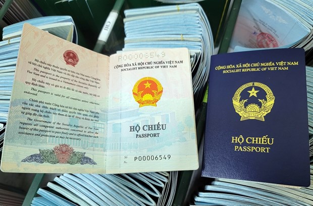 Agregaran “lugar de nacimiento” a pasaporte de nuevo modelo de Vietnam hinh anh 1