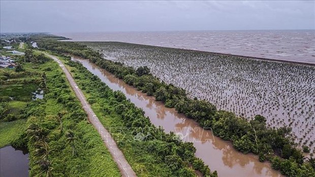 Paises Bajos apoya al delta del Mekong en la adaptacion al cambio climatico hinh anh 2
