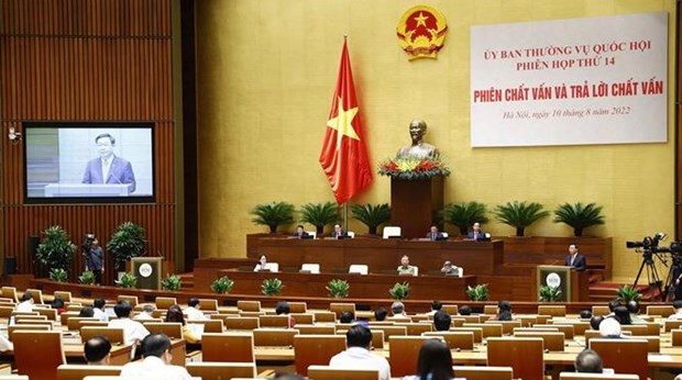 Interpelan cuestiones relativas a ciberseguridad en Vietnam hinh anh 1