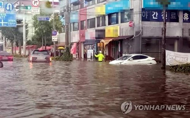 Expresa Vietnam simpatia con Corea del Sur por secuelas de inundaciones hinh anh 1
