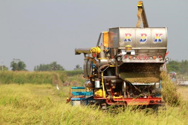 Tailandia aprueba plan agricola para provincias del Corredor Economico Oriental hinh anh 1