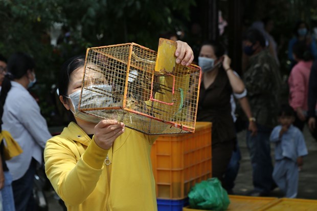 Liberacion de aves: buen habito de los hanoyenses en el Festival Vu Lan hinh anh 1