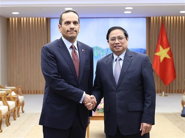 Qatar concede gran importancia a desarrollo de relaciones con Vietnam, destaca vicepremier hinh anh 1