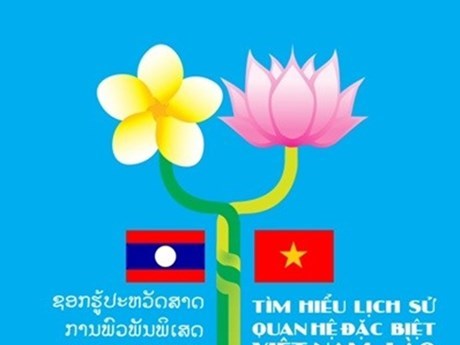 Mas de 66 mil personas participan en cuestionario sobre relaciones Vietnam-Laos hinh anh 1