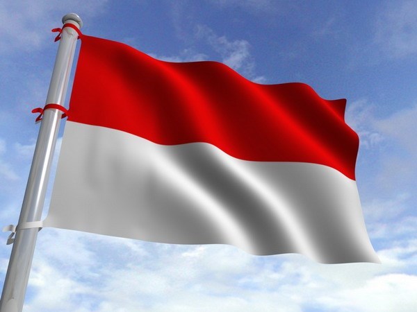 Vietnam felicita a Indonesia por su Dia Nacional hinh anh 1