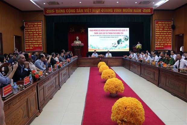 Impulsan promocion de longan vietnamita entre cuerpos diplomaticos hinh anh 2