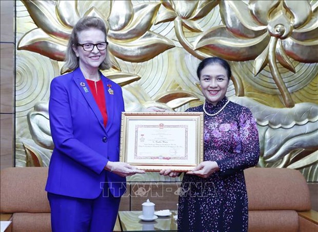 Entregan medalla conmemorativa de amistad a representante de PNUD en Vietnam hinh anh 2