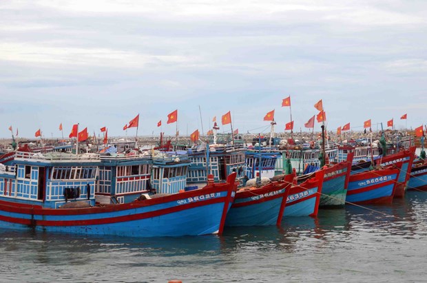 Destacan esfuerzos de provincia vietnamita en lucha contra pesca ilegal hinh anh 1