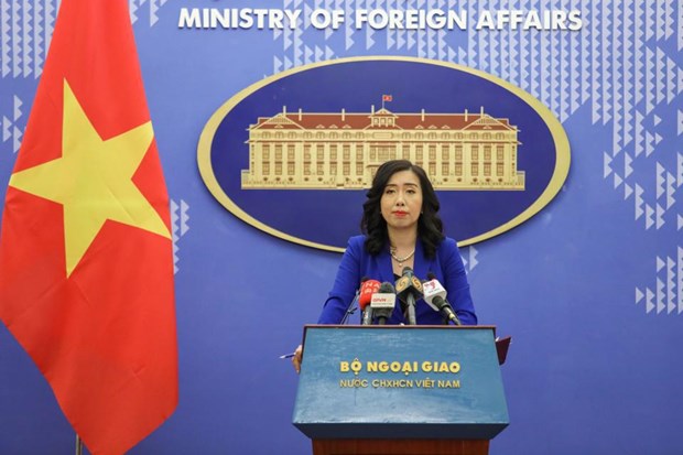 Vietnam implementa medidas para proteccion de ciudadanos vietnamitas en el extranjero, afirma portavoz hinh anh 1