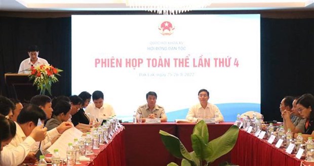 Efectuan cuarta sesion plenaria del Consejo de Nacionalidades del Parlamento vietnamita hinh anh 1