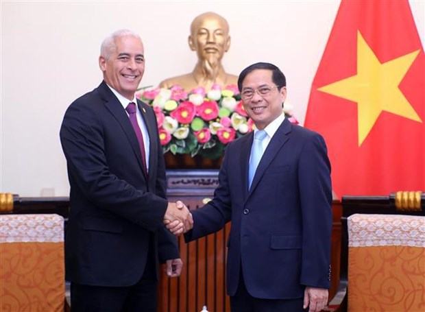Fortalecen lazos politicos especiales y cooperacion integral entre Vietnam y Cuba hinh anh 1