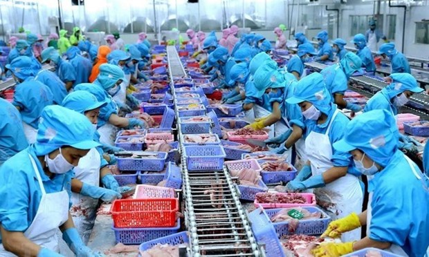 Aumenta valor de exportacion de productos agropecuarios de Vietnam hinh anh 1