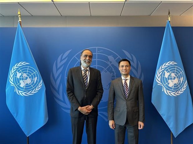Vietnam desea colaborar con ONU en transformacion digital, destaca embajador hinh anh 1
