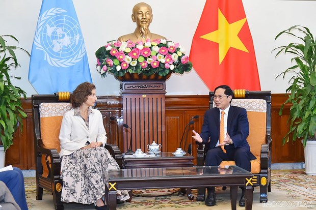 Canciller vietnamita recibe a directora general de UNESCO hinh anh 1