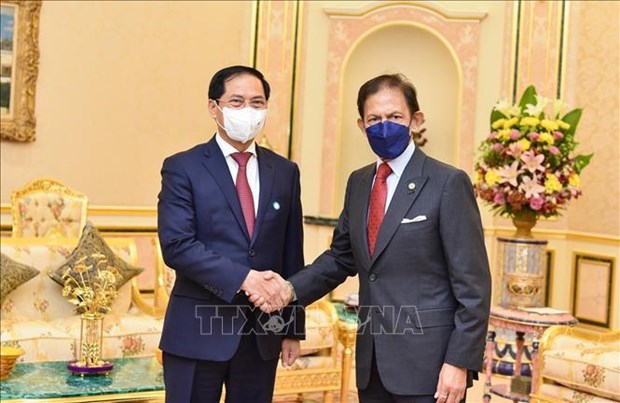 Vietnam constituye un amigo y socio importante de Brunei, afirma el sultan hinh anh 1