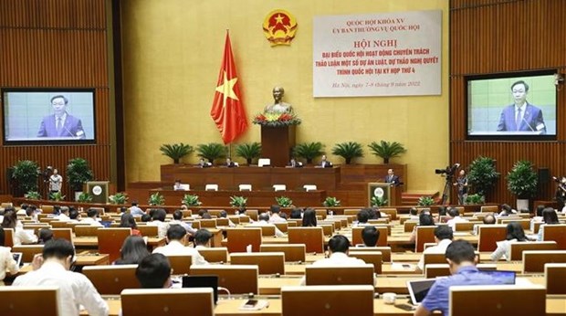 Garantizan maxima calidad de proyectos de leyes para la presentacion al Parlamento vietnamita hinh anh 1
