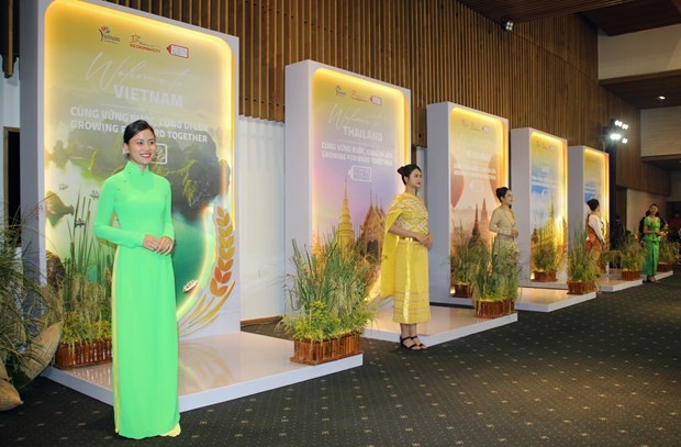 Celebran en Ciudad Ho Chi Minh gala en honor a arroz vietnamita hinh anh 2