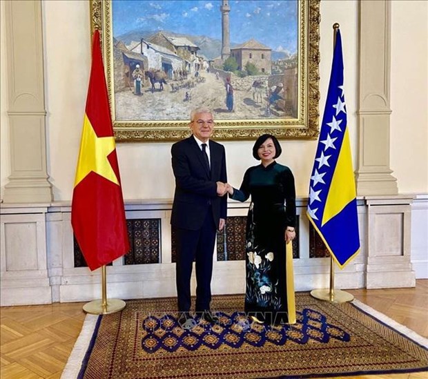 Lider de Bosnia y Herzegovina impresionado por logros economicos de Vietnam hinh anh 1