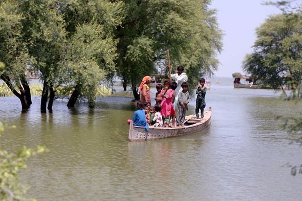 Vietnam expresa solidaridad con Pakistan ante consecuencias de fuertes inundaciones hinh anh 1