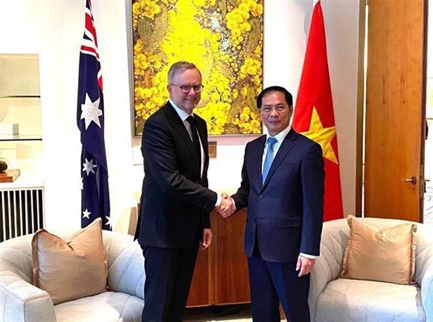 Canciller vietnamita realiza visita de cortesia al primer ministro de Australia hinh anh 1