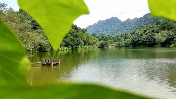 Cuc Phuong honrado por cuarta vez como el parque nacional lider de Asia hinh anh 1