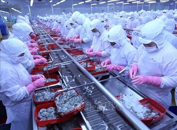 Ventas de productos acuaticos de Vietnam a Rusia registran fuerte repunte hinh anh 1