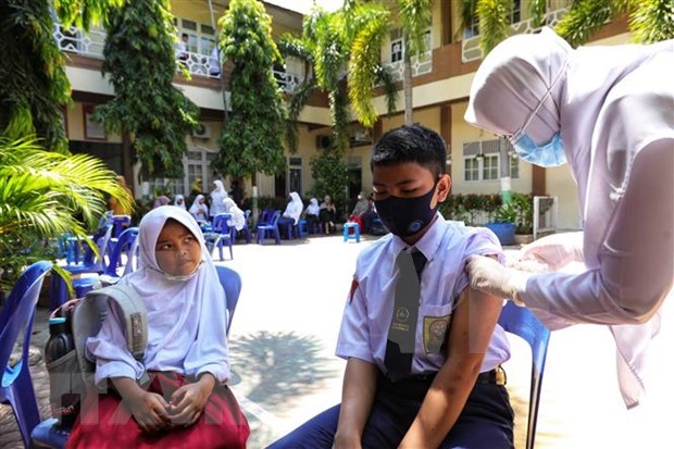 Indonesia considera uso de vacuna antiCOVID-19 de produccion nacional Indovac hinh anh 1